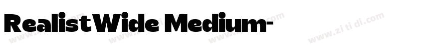 RealistWide Medium字体转换